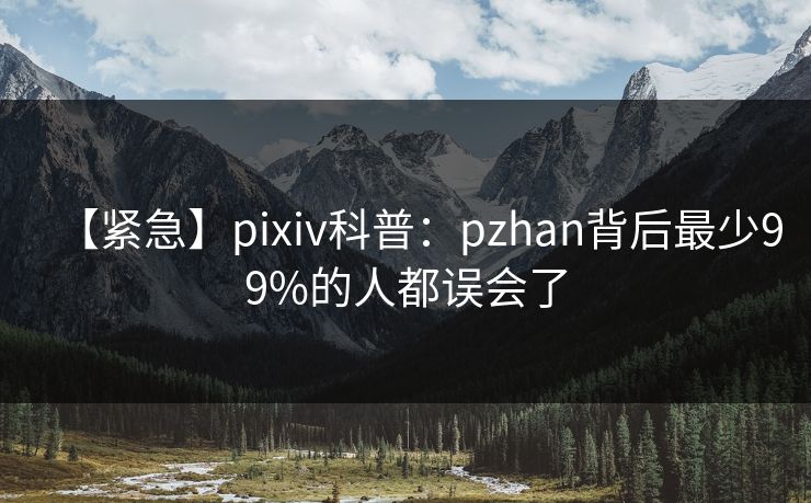 【紧急】pixiv科普：pzhan背后最少99%的人都误会了