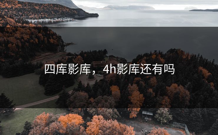 四库影库，4h影库还有吗