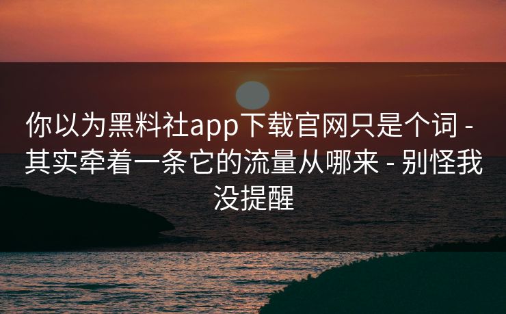 你以为黑料社app下载官网只是个词 - 其实牵着一条它的流量从哪来 - 别怪我没提醒