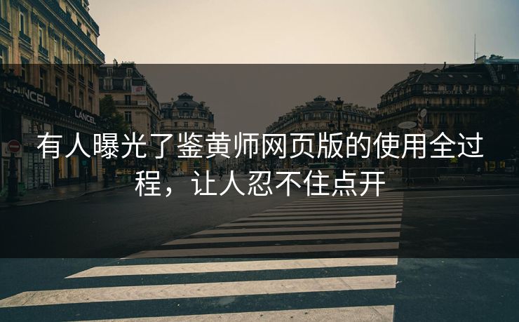 有人曝光了鉴黄师网页版的使用全过程，让人忍不住点开