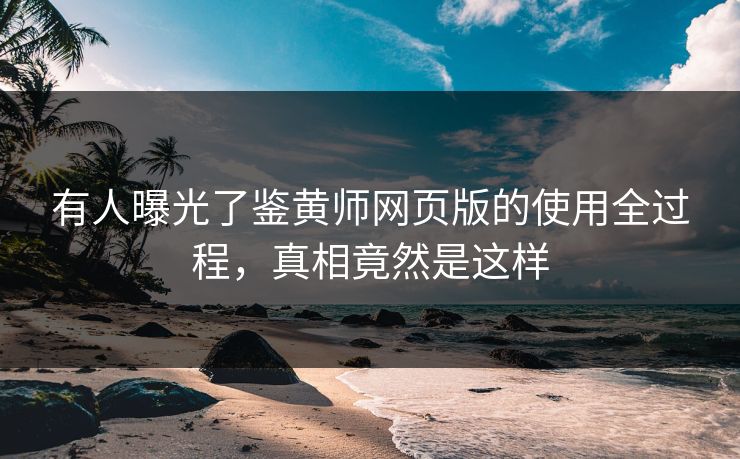 有人曝光了鉴黄师网页版的使用全过程，真相竟然是这样
