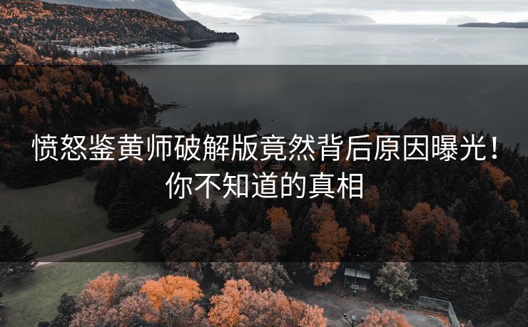 愤怒鉴黄师破解版竟然背后原因曝光！你不知道的真相