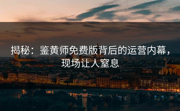 揭秘：鉴黄师免费版背后的运营内幕，现场让人窒息