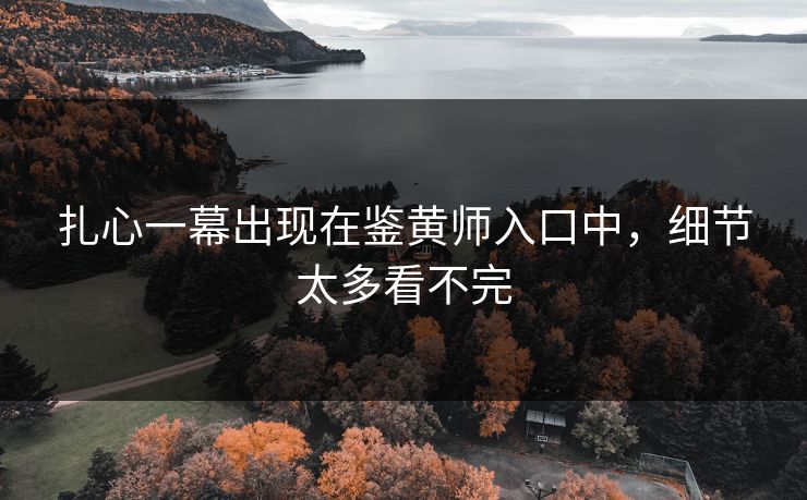 扎心一幕出现在鉴黄师入口中，细节太多看不完