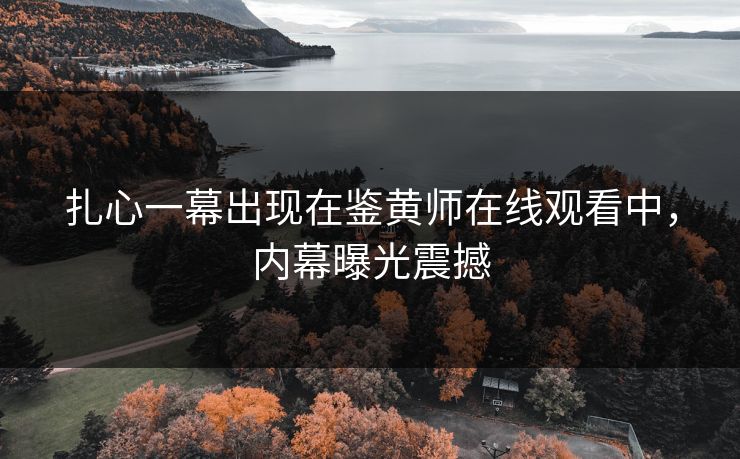 扎心一幕出现在鉴黄师在线观看中，内幕曝光震撼