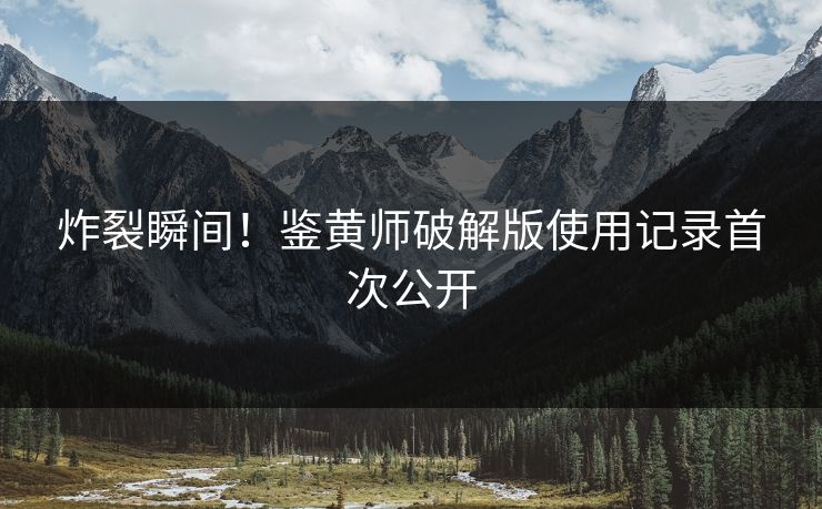 炸裂瞬间！鉴黄师破解版使用记录首次公开