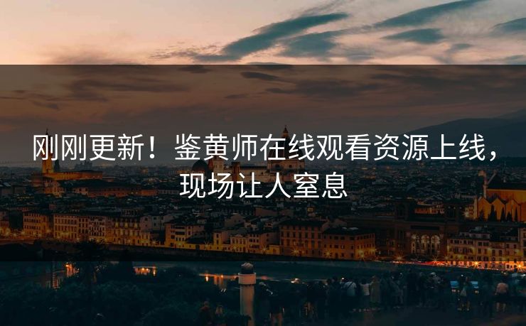 刚刚更新！鉴黄师在线观看资源上线，现场让人窒息