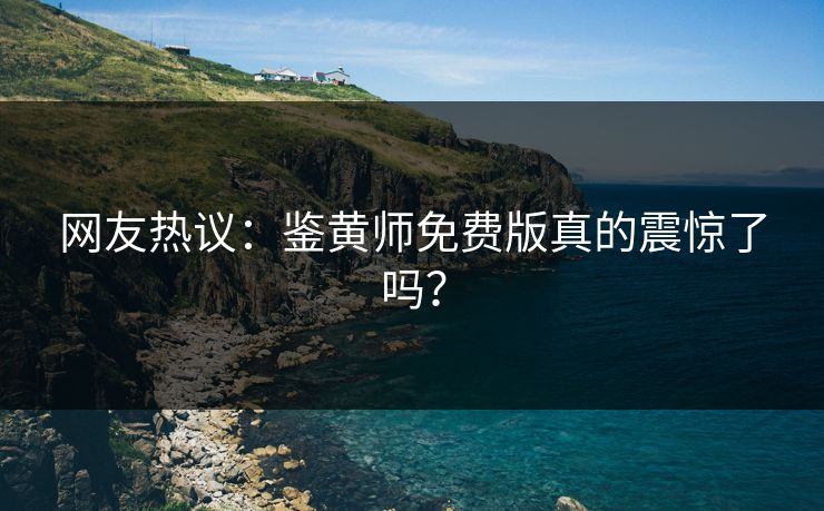 网友热议：鉴黄师免费版真的震惊了吗？