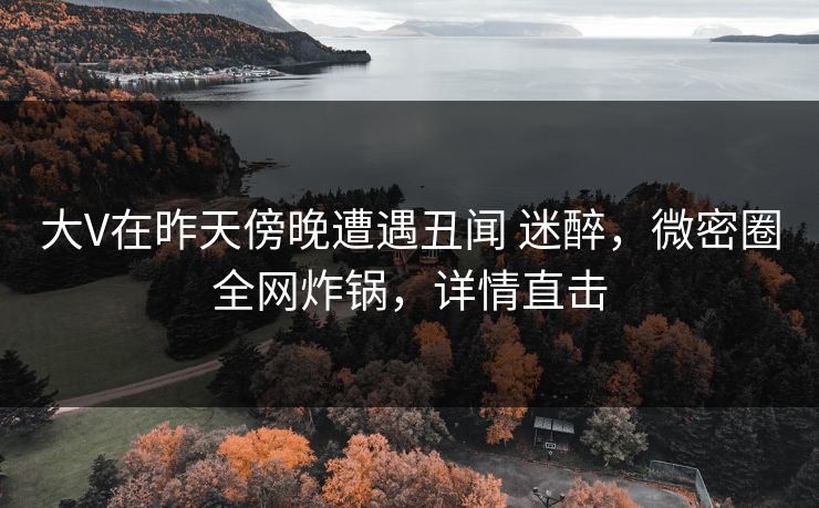 大V在昨天傍晚遭遇丑闻 迷醉，微密圈全网炸锅，详情直击